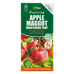 Vitax Apple maggot trap